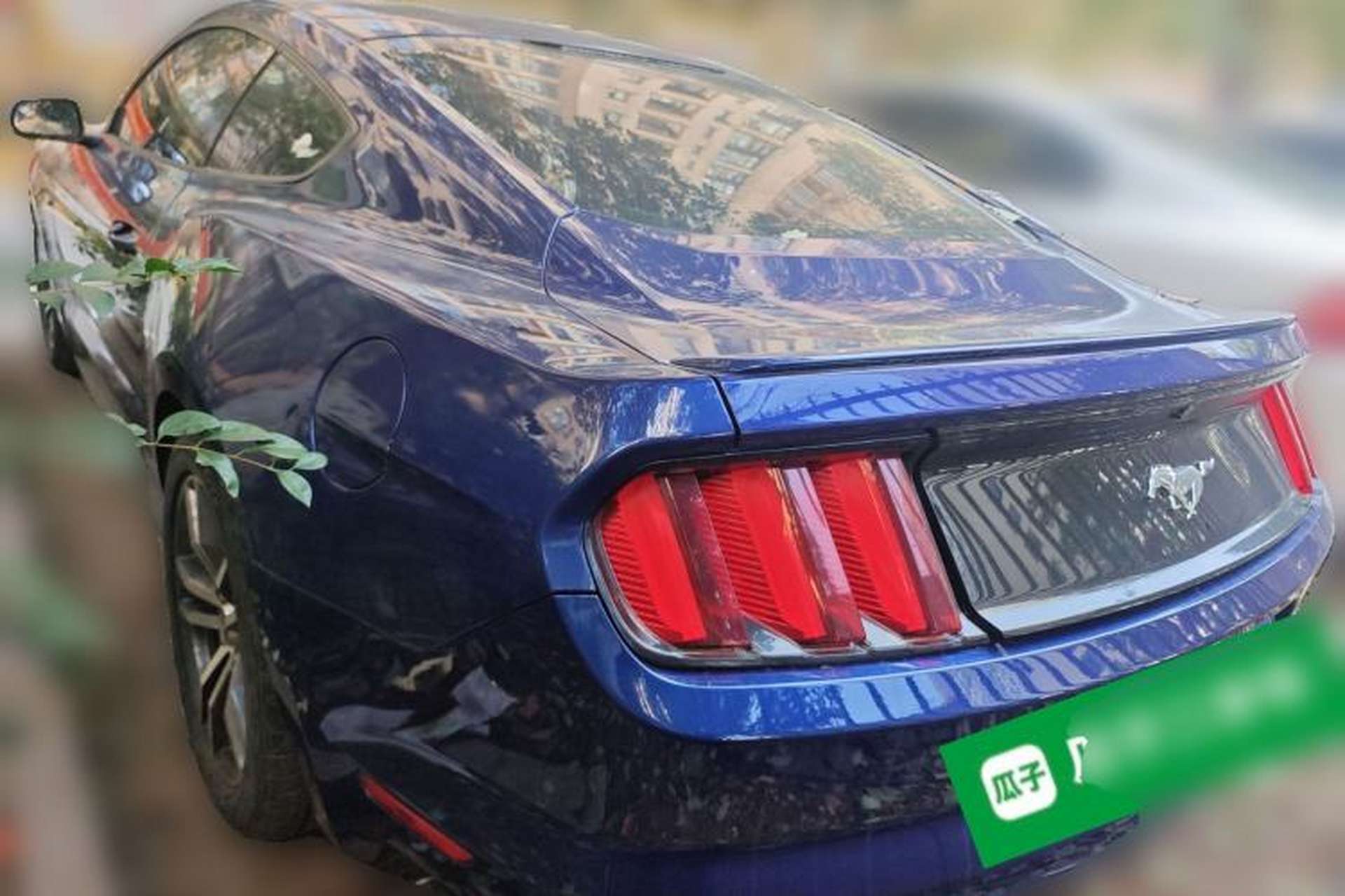 Used Ford Mustang 2015 2.3T Performance Edition Rear Left 45 Deg