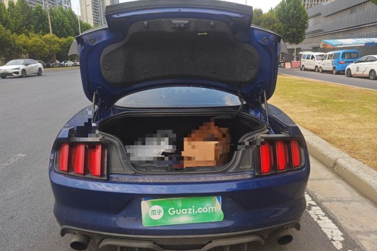 Used Ford Mustang  Trunk