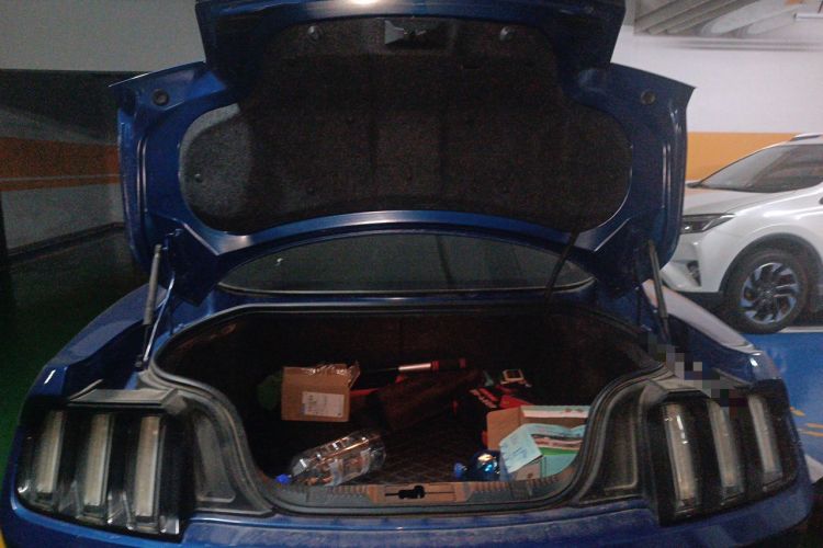 Used Ford Mustang 2015 2.3T Performance Edition Trunk