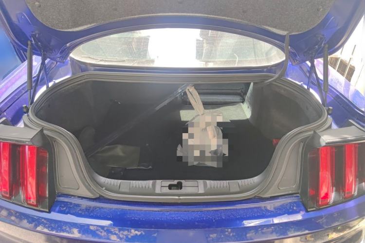 Used Ford Mustang  Trunk