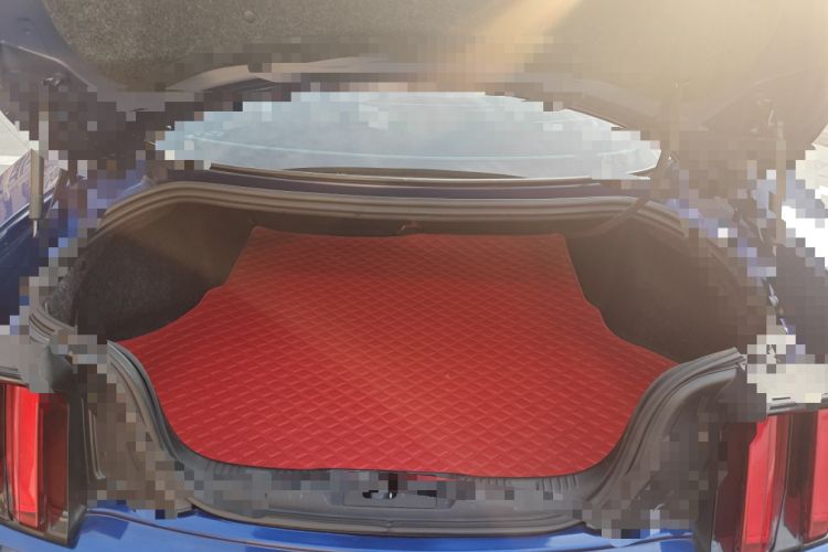 Used Ford Mustang 2015 2.3T Performance Edition Trunk