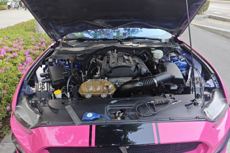 Used Ford Mustang  Engine Bay