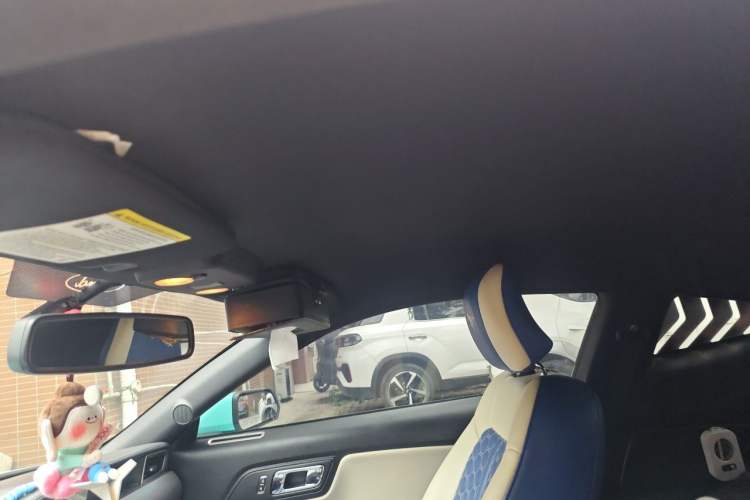 Used Ford Mustang 2015 2.3T Performance Edition Headliner