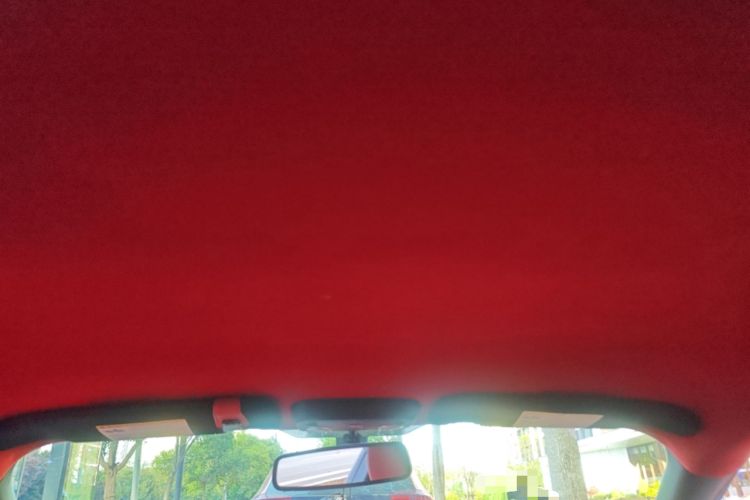 Used Ford Mustang  Headliner
