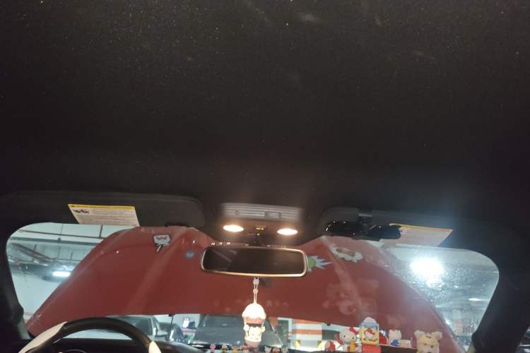 Used Ford Mustang 2015 2.3T Performance Edition Headliner