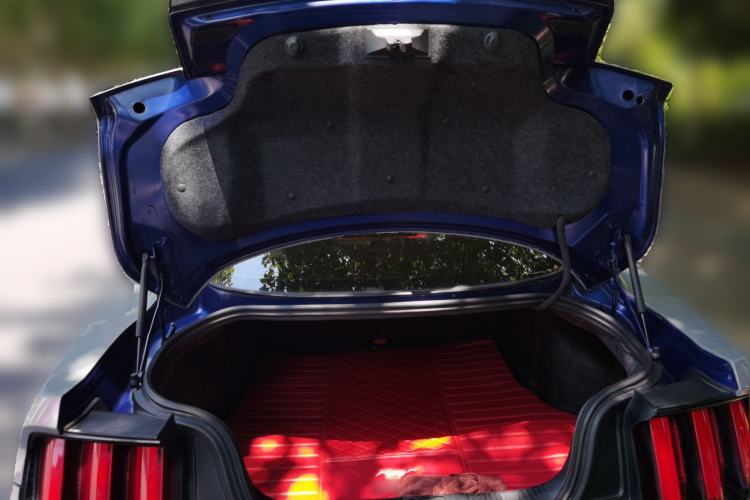 Used Ford Mustang  Trunk
