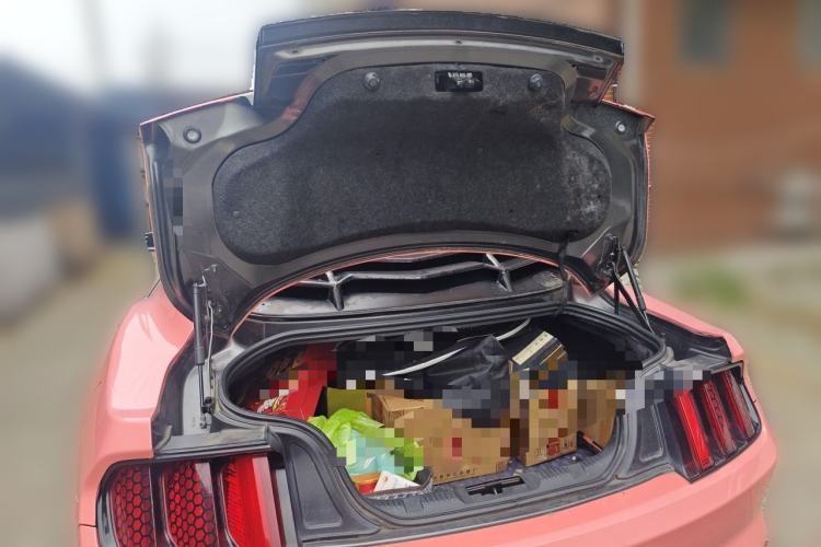 Used Ford Mustang 2015 2.3T Performance Edition Trunk
