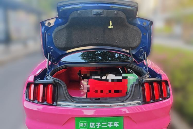 Used Ford Mustang  Trunk