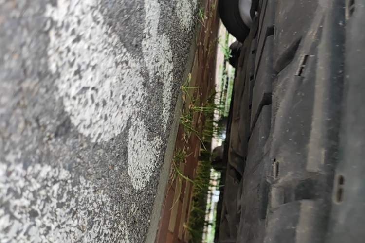 Used Ford Mustang  Chassis Front