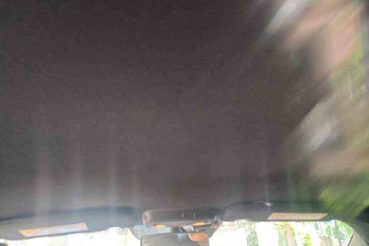 Used Ford Mustang 2015 2.3T Performance Edition Headliner