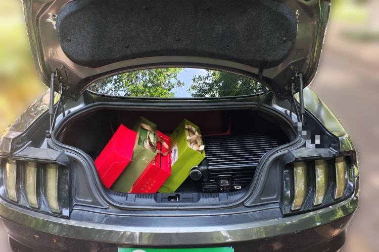 Used Ford Mustang 2015 5.0L GT Performance Edition Trunk