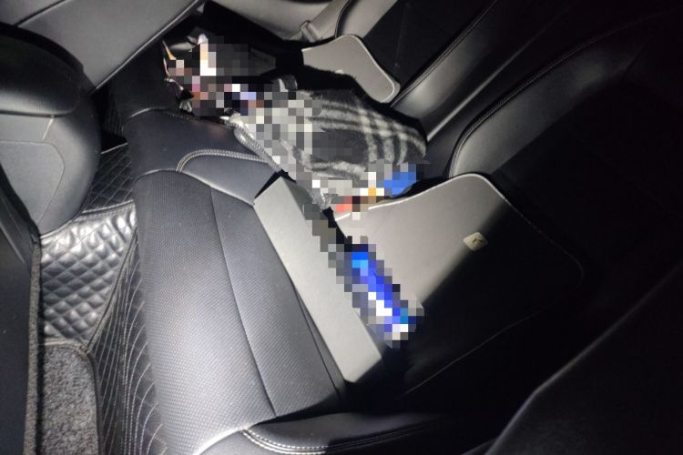 Used Ford Mustang 2015 2.3T Performance Edition Left Rear Seat