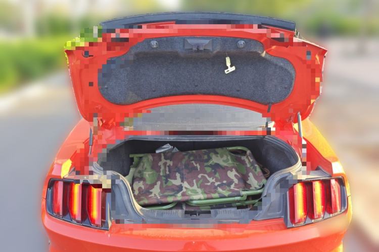 Used Ford Mustang  Trunk