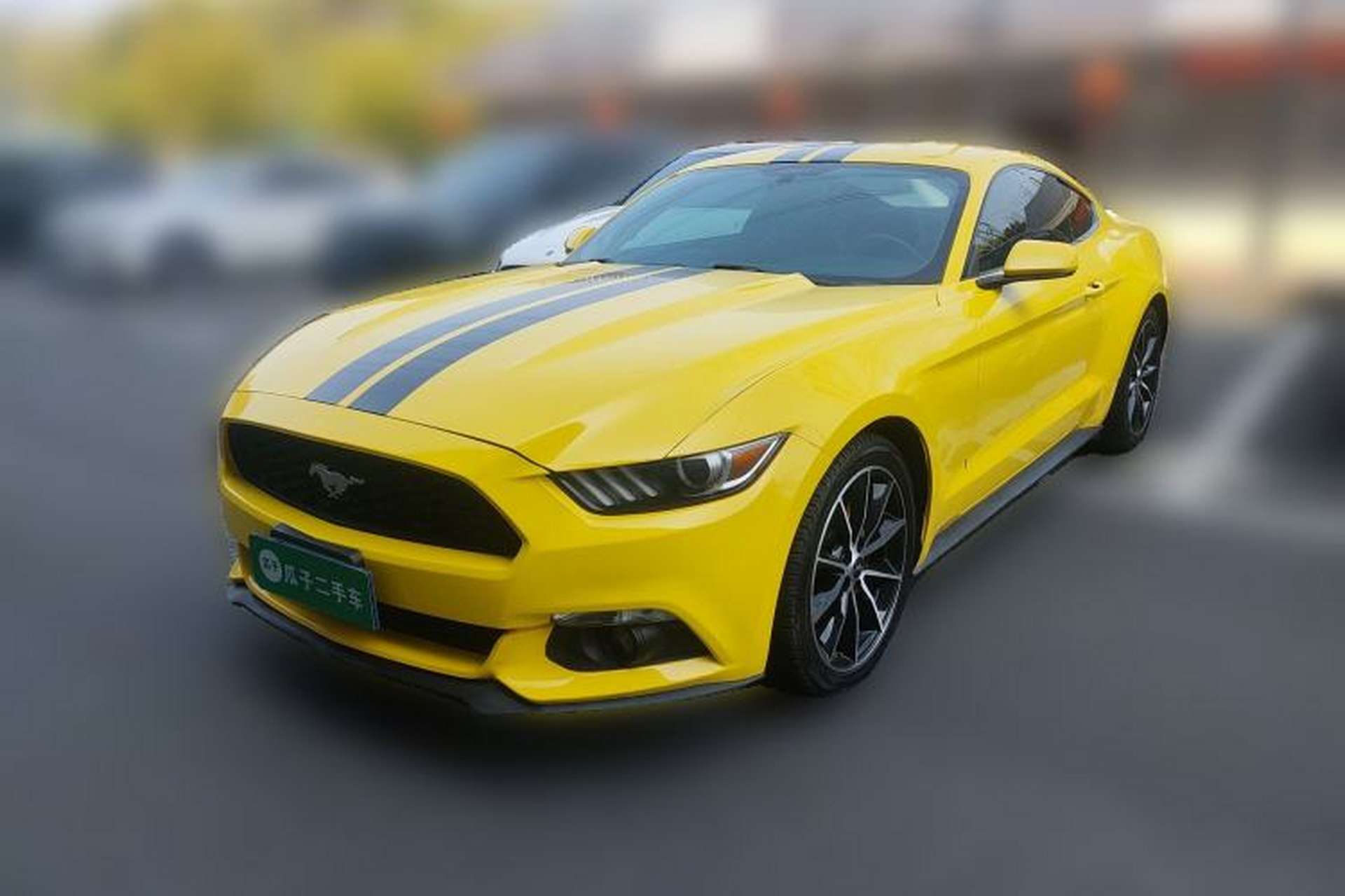 Used Ford Mustang 2015 2.3T Performance Edition Front Left 45 Deg