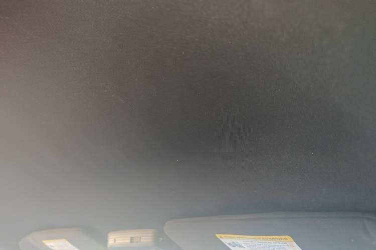 Used Ford Mustang  Headliner