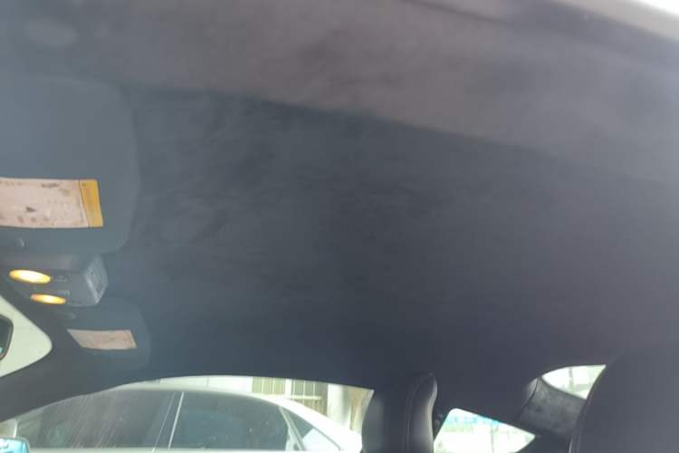 Used Ford Mustang 2015 2.3T Performance Edition Headliner