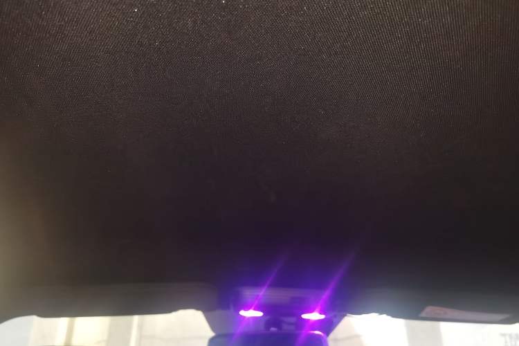 Used Ford Mustang 2015 2.3T Performance Edition Headliner