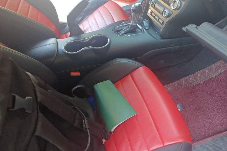 Used Ford Mustang  Left Rear Seat