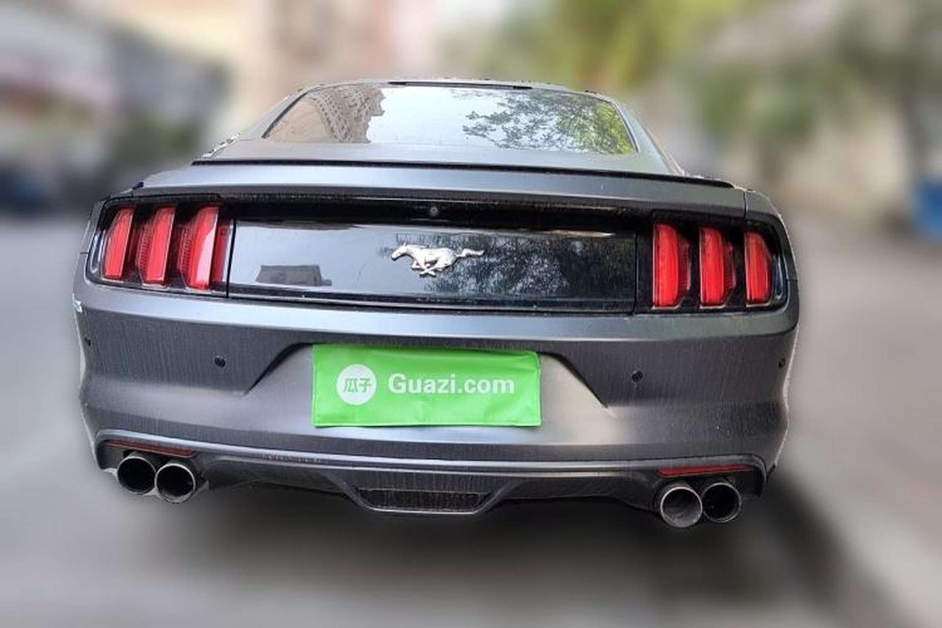Used Ford Mustang 2015 2.3T Performance Edition Rear