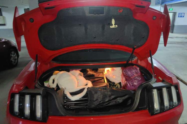 Used Ford Mustang 2015 2.3T Performance Edition Trunk
