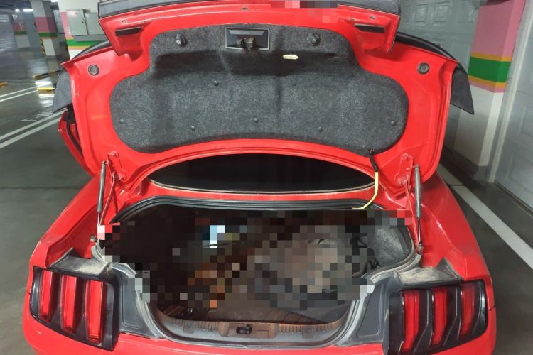 Used Ford Mustang 2015 2.3T Performance Edition Trunk