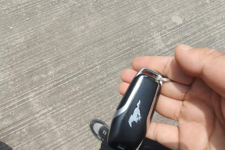 Used Ford Mustang 2015 2.3T Performance Edition Vehicle Key
