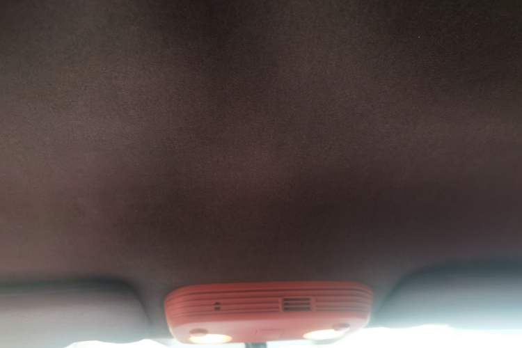 Used Ford Mustang 2015 2.3T Performance Edition Headliner