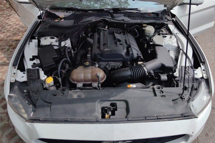 Used Ford Mustang  Engine Bay
