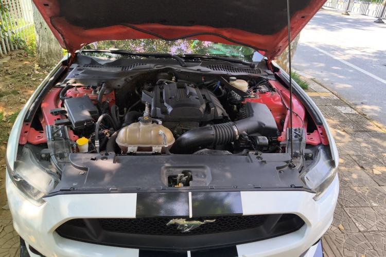 Used Ford Mustang 2015 2.3T Performance Edition Engine Bay