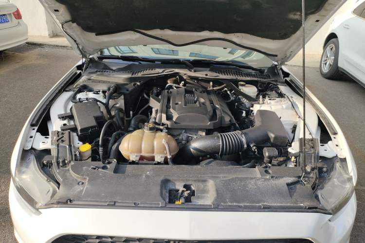 Used Ford Mustang 2015 2.3T 50th Anniversary Edition Engine Bay