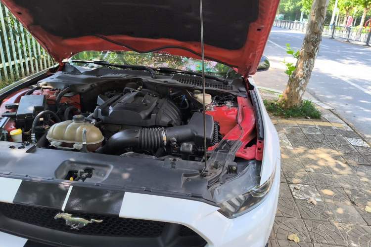 Used Ford Mustang 2015 2.3T Performance Edition Engine Bay Left
