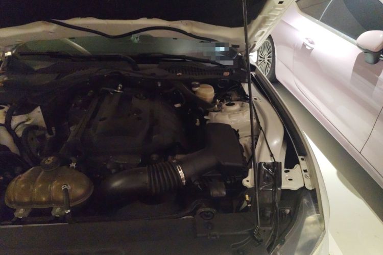 Used Ford Mustang 2015 2.3T 50th Anniversary Edition Engine Bay Left