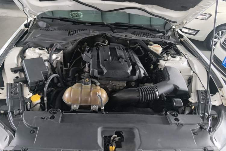 Used Ford Mustang 2015 2.3T 50th Anniversary Edition Engine Bay