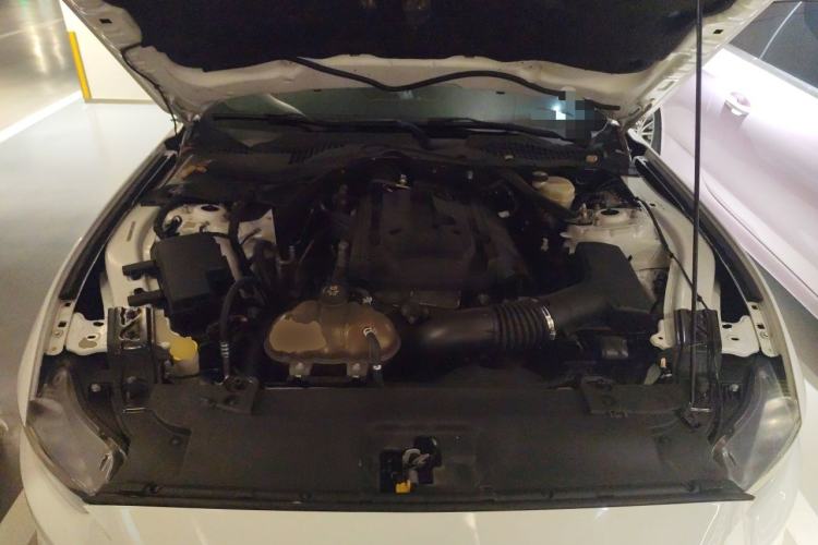 Used Ford Mustang 2015 2.3T 50th Anniversary Edition Engine Bay