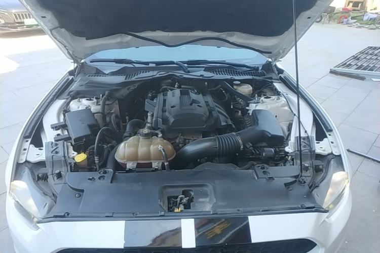 Used Ford Mustang 2015 2.3T 50th Anniversary Edition Engine Bay