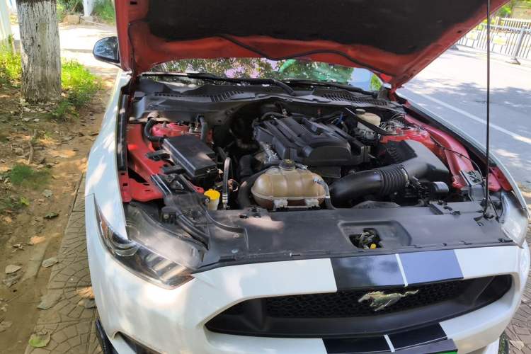 Used Ford Mustang 2015 2.3T Performance Edition Engine Bay Right