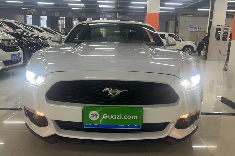 Used Ford Mustang 2015 2.3T 50th Anniversary Edition Front