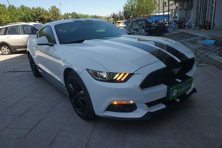 Used Ford Mustang 2015 2.3T 50th Anniversary Edition Front Right 45 Deg
