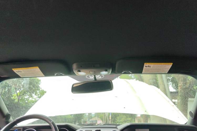 Used Ford Mustang  Headliner