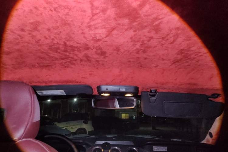 Used Ford Mustang 2015 2.3T Performance Edition Headliner