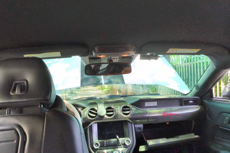Used Ford Mustang 2015 2.3T Performance Edition Headliner