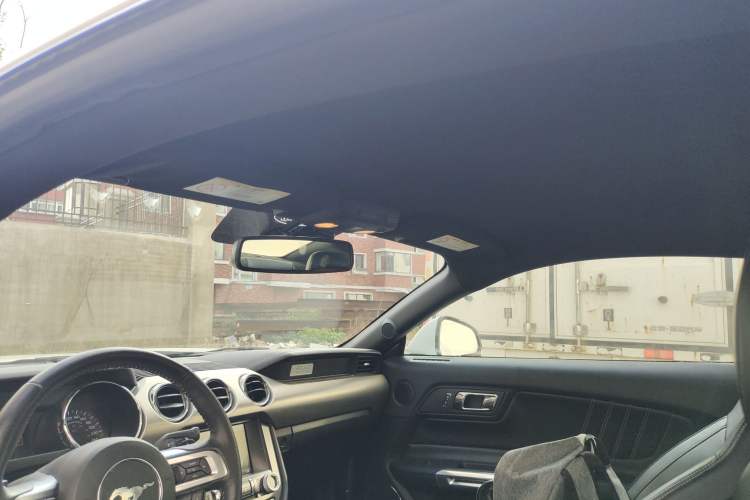 Used Ford Mustang 2015 2.3T 50th Anniversary Edition Headliner