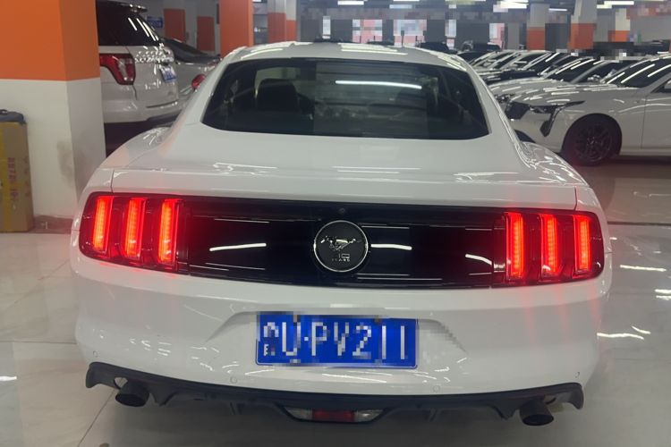 Used Ford Mustang 2015 2.3T 50th Anniversary Edition Rear