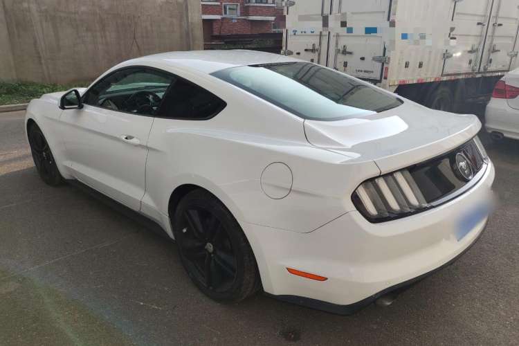 Used Ford Mustang 2015 2.3T 50th Anniversary Edition Rear Left 45 Deg