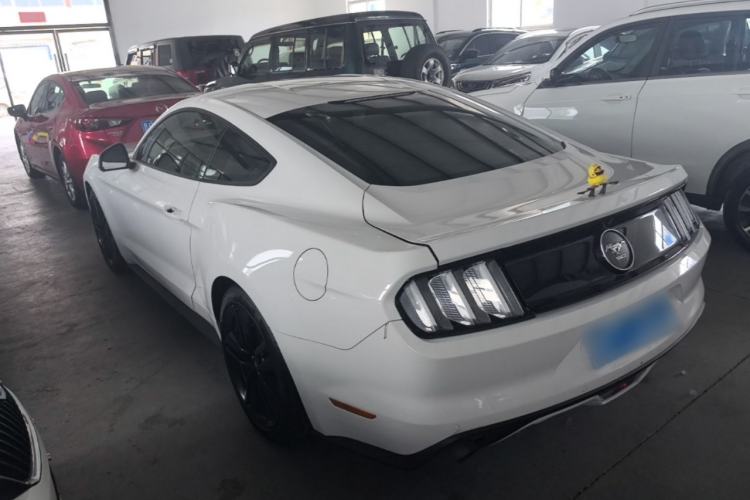 Used Ford Mustang 2015 2.3T 50th Anniversary Edition Rear Left 45 Deg