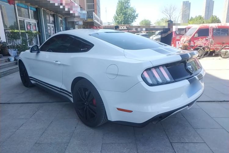 Used Ford Mustang 2015 2.3T 50th Anniversary Edition Rear Left 45 Deg
