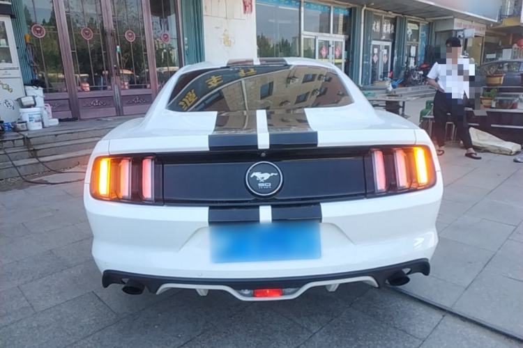 Used Ford Mustang 2015 2.3T 50th Anniversary Edition Rear