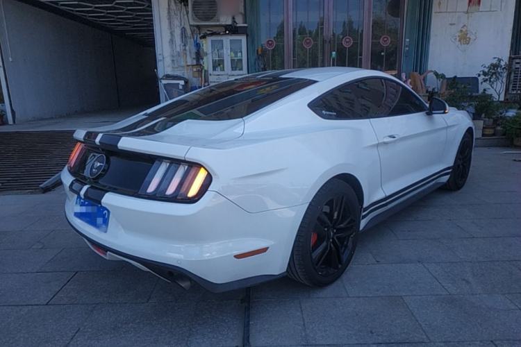 Used Ford Mustang 2015 2.3T 50th Anniversary Edition Rear Right 45 Deg
