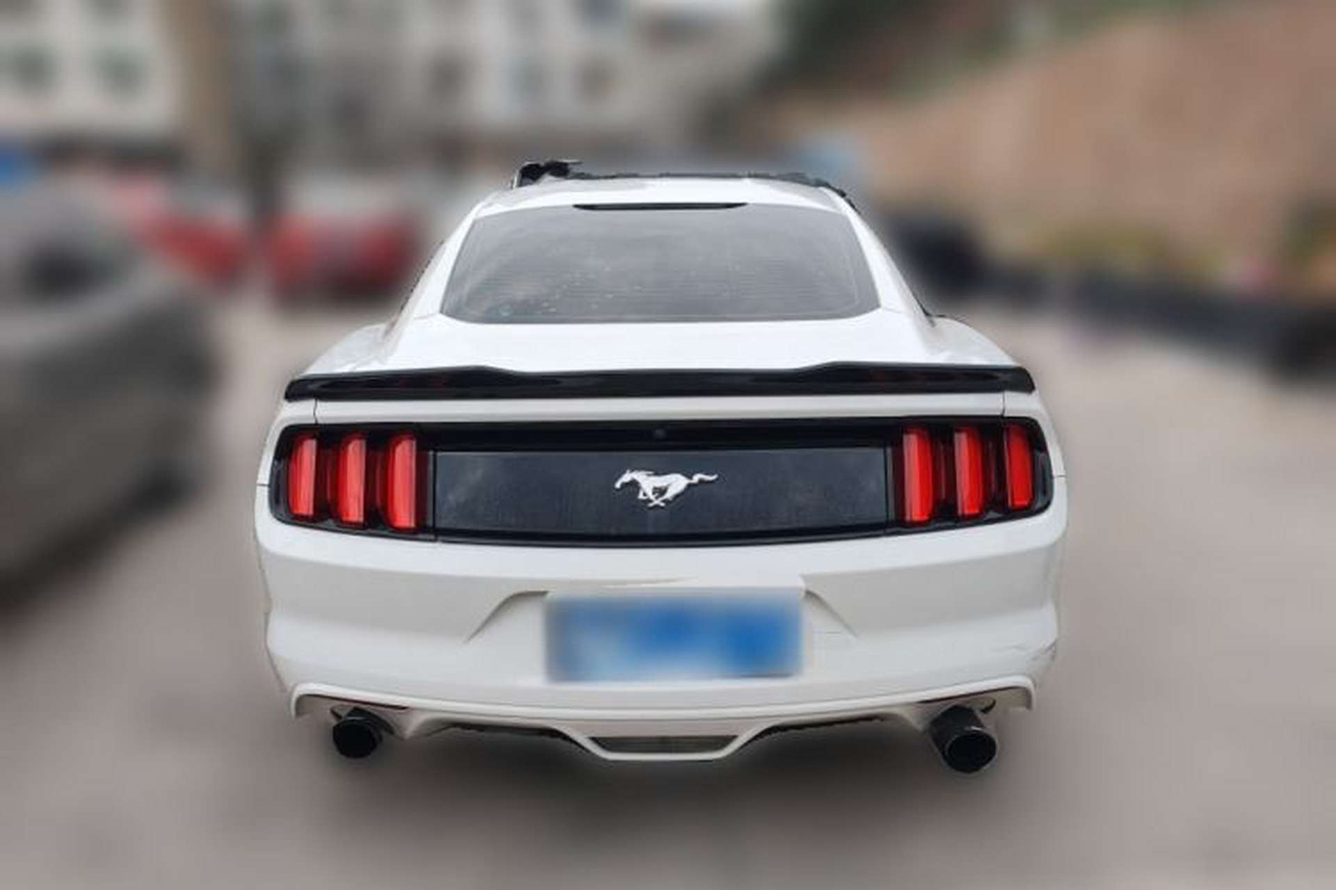 Used Ford Mustang 2015 2.3T Performance Edition Rear