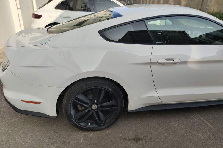 Used Ford Mustang 2015 2.3T 50th Anniversary Edition Right Rear Seat